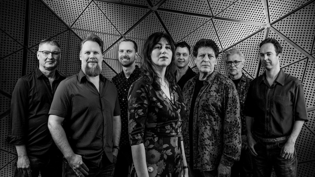 Verdronken Vlinder – de Vrienden van Vroeger Band