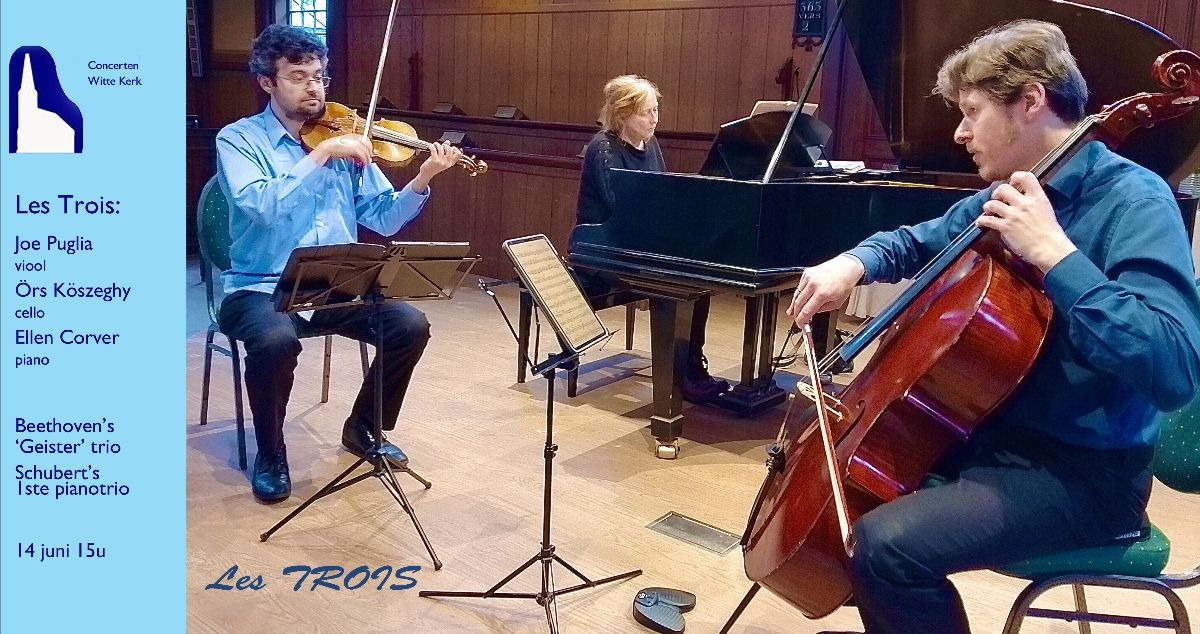 Kamermuziek door  Pianotrio Les Trois