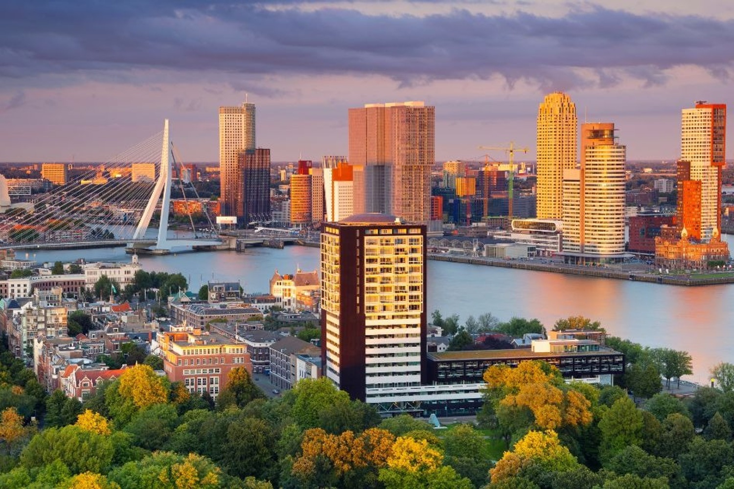 Schoonmaakbedrijf in Rotterdam