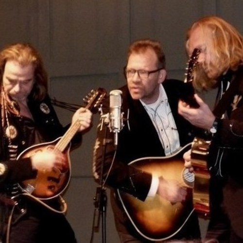 Skotwal - Onversneden West-Friese rock
