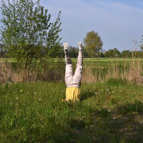 howtodisappear, theaterwandeling