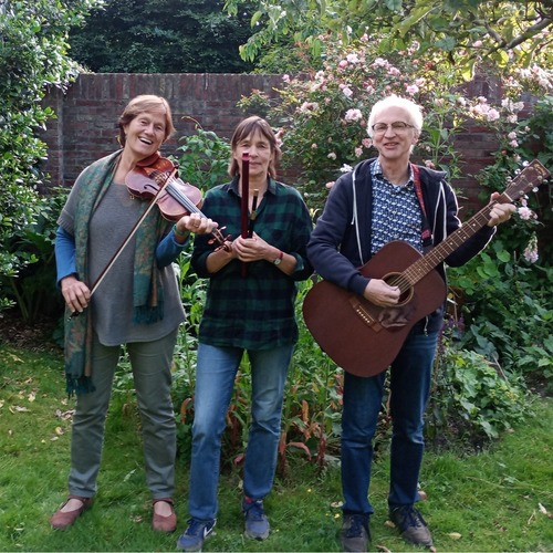 Gratis lunchconcert: Keltische muziek door Ensemble Helmgras